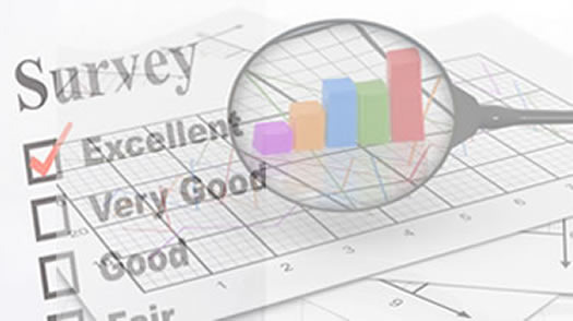 360 Surveys